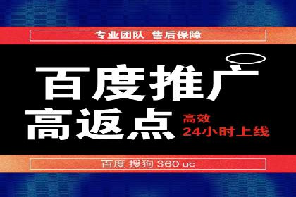 案例研究：百度竞价广告投放效果